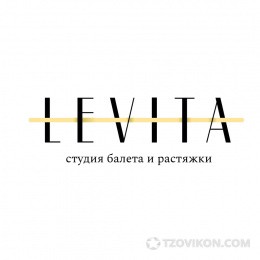 
                            Студия растяжки и балета LEVITA, Ярославль
                         - отзывы